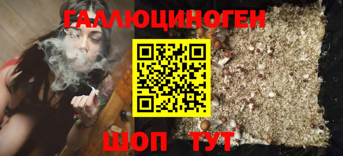 Галлюциногенные грибы Psilocybe Полевской