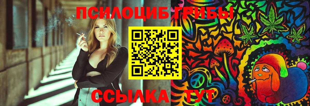 Псилоцибиновые грибы Psilocybe  Вход с VPN  закладки  Полевской 